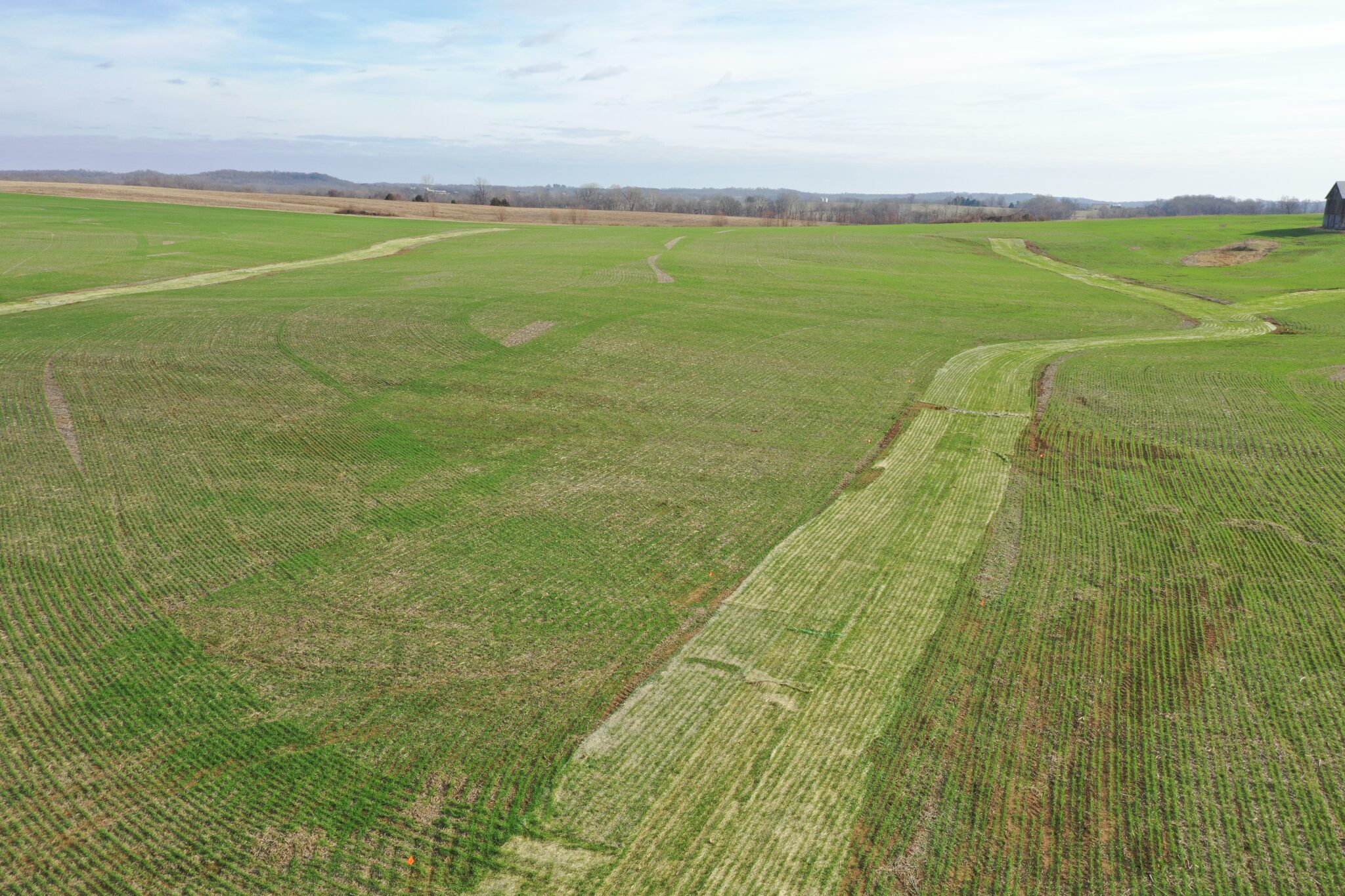 Straw Blankets Seven Springs Farms