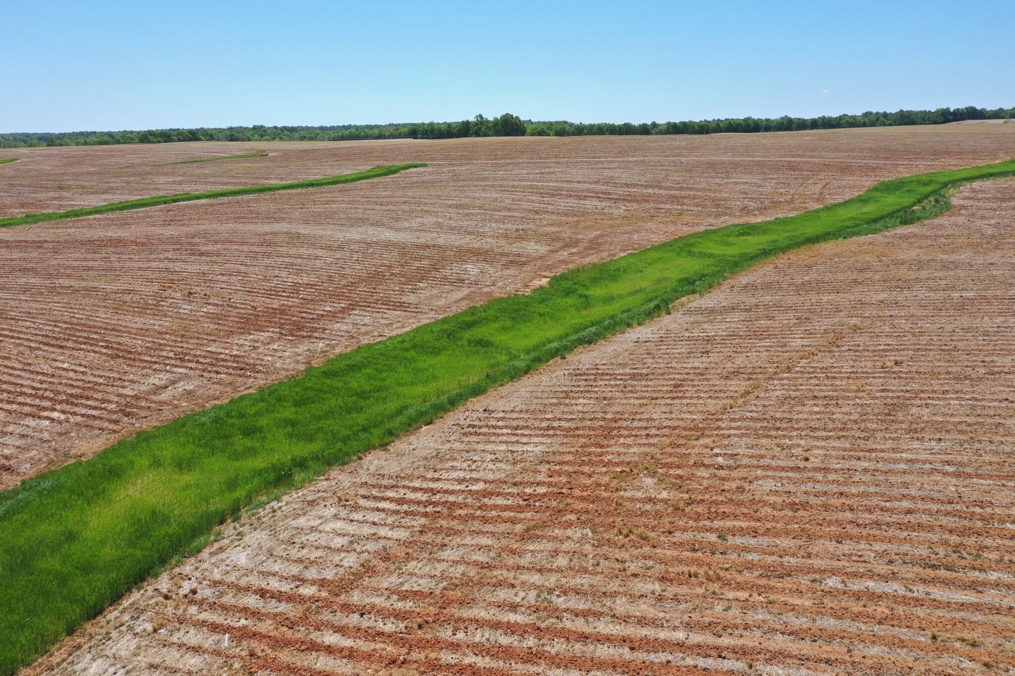 Straw Blankets Seven Springs Farms